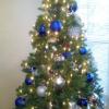 O Christmas Tree! The beautiful festive tree at Allegre Point Senior Center. We love the shades of blue!